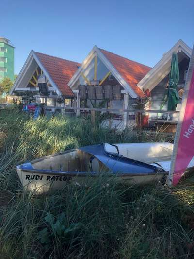 Windhunde - Treffen der besonderen Schönheiten
HERZLICH WILLKOMMEN-Beitrag-Bild