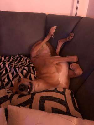 Die unbequemsten und lustigsten Schlafpositionen-Beitrag-Bild