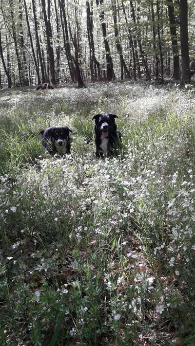 Fotochallange Nr. 46

Schattenspiele BEENDET!!!!!-Beitrag-Bild