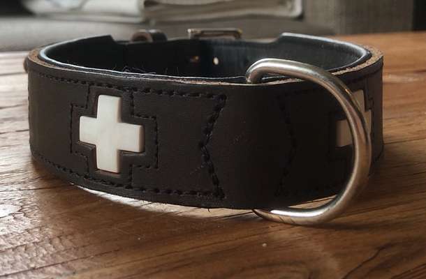 HUNTER Schweizer Halsband-Beitrag-Bild