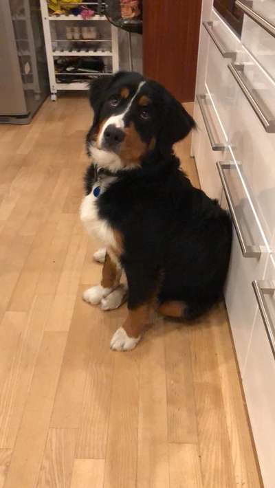 Blick fürs Detail!-Beitrag-Bild