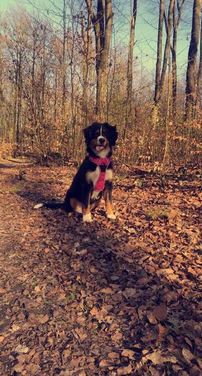 Lieblingsbild :D-Beitrag-Bild