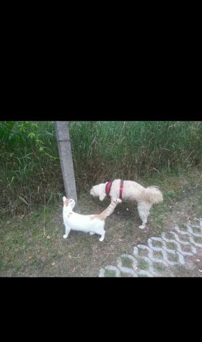 Unsere Sternchen ******-Beitrag-Bild