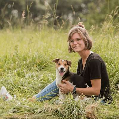 Hundeschulen-Hundeschule Vierbeinerrunde-Bild