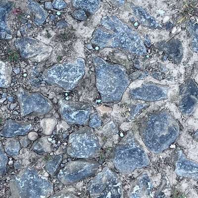 Giftköder-Blaukorn großflächig Feldweg und Feld-Bild