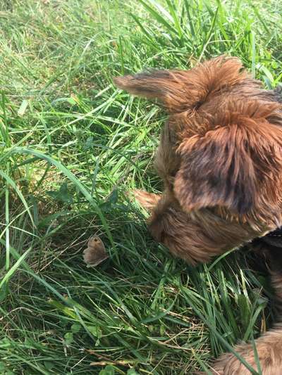 Fotochallenge Nr. 126-Beitrag-Bild