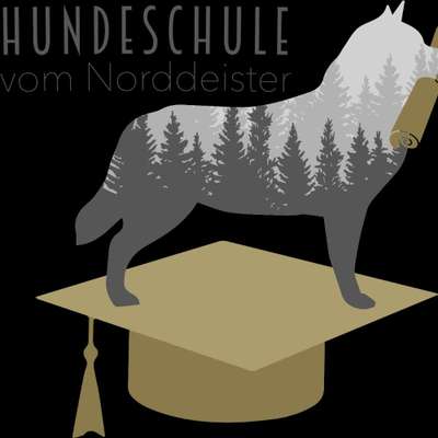 Hundeschulen-Hundeschule vom Norddeister-Bild