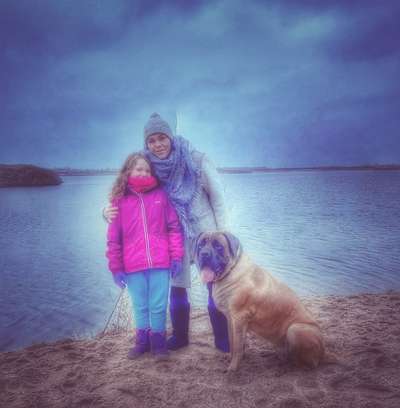 Hunderunde-Beitrag-Bild