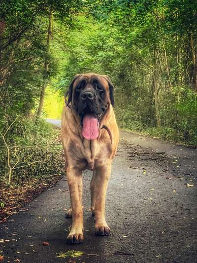 Zeigt her eure Kolosse!-Beitrag-Bild