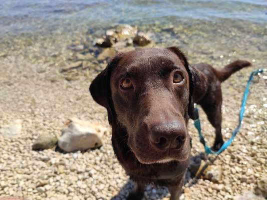 Fotochallange Nr. 57     PORTRÄT.   Beendet!!!!!!!!-Beitrag-Bild