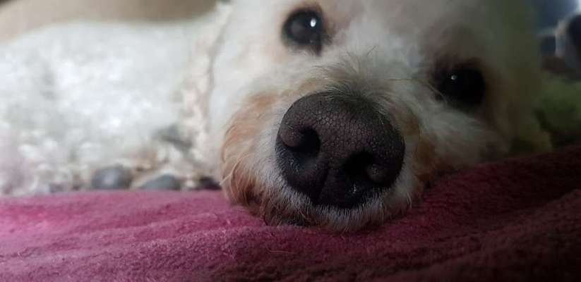 Aufpassen-Beitrag-Bild