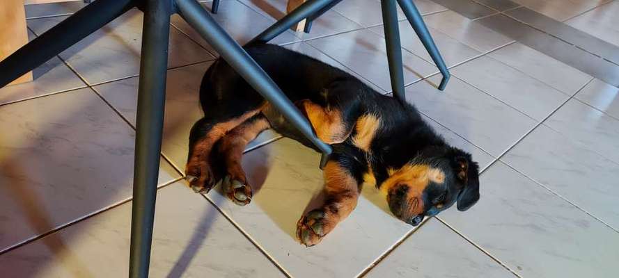 CHALLENGE NR. 34 - Liege-/Schlafpositionen-Beitrag-Bild