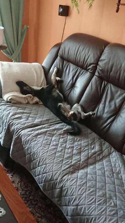 Die unbequemsten und lustigsten Schlafpositionen-Beitrag-Bild