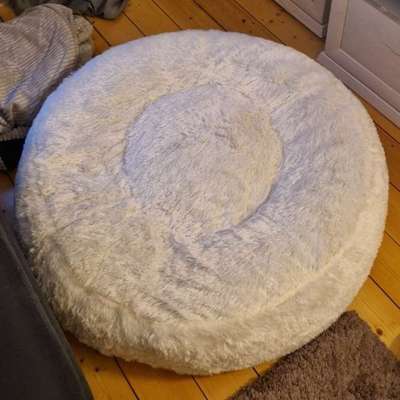 Hundebett Flocke beige-Beitrag-Bild
