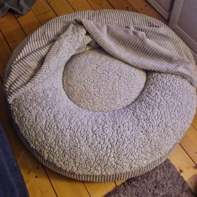 Hundebett Flocke beige-Beitrag-Bild