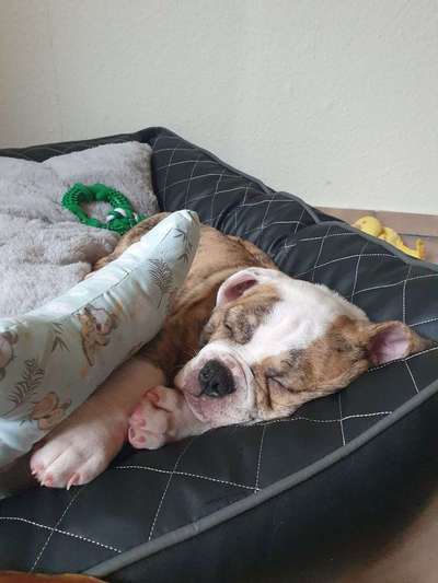 Unser Nachwuchs-Beitrag-Bild