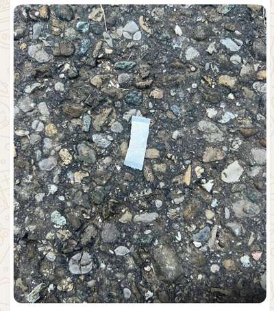 Giftköder-Nikotinbeutel auf der Wiese-Bild