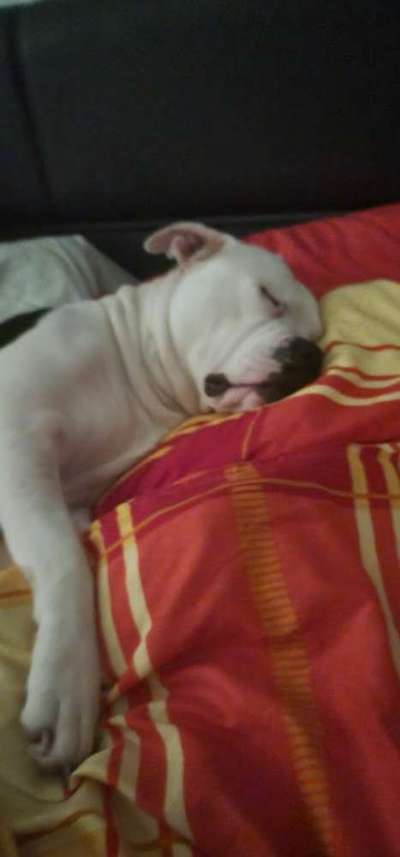 Foto Challenge Nr. 134-Beitrag-Bild