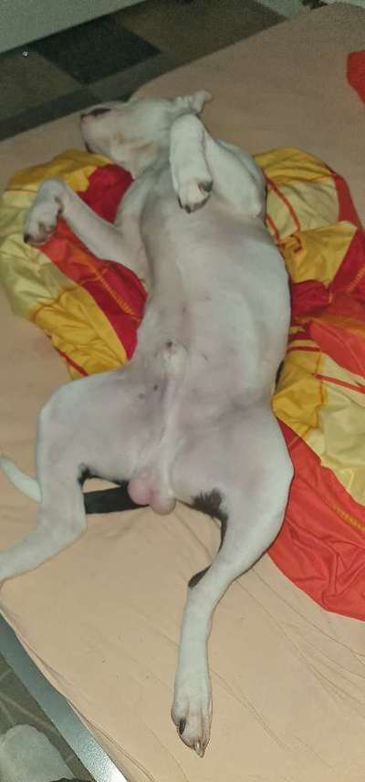 Foto Challenge Nr. 134-Beitrag-Bild