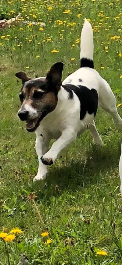 Farben Fotochallenge Thema ,,Grün"-Beitrag-Bild