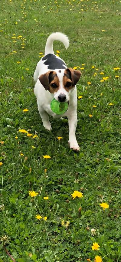 Farben Fotochallenge Thema ,,Grün"-Beitrag-Bild