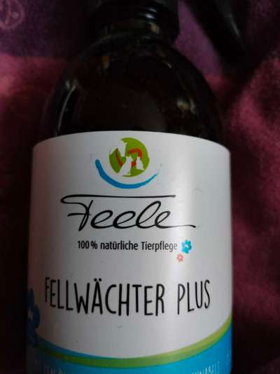 Erbrechen nach Zeckenhalsband-Beitrag-Bild