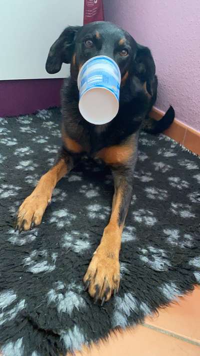 Fotochallenge Nr. 64-Beitrag-Bild