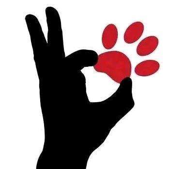 aktuelles Foto Gruppe Hunde Freunde Welt Weit 🌎🐶🤝🐺 Red Dogs