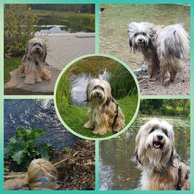 Eure schönsten Fotos mit Wasser-Beitrag-Bild