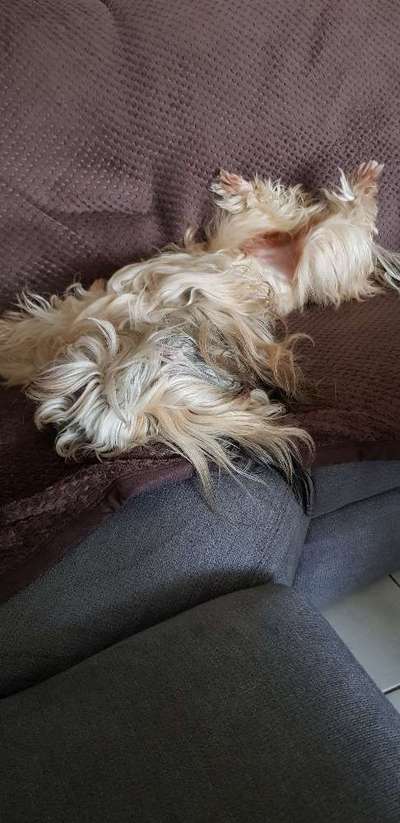 Morgenmuffel-Beitrag-Bild