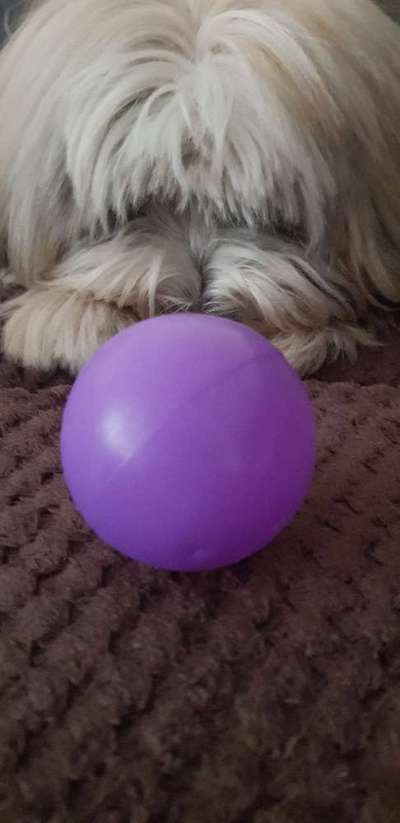 138. Fotochallenge 

(M)Ein Ball und ich-Beitrag-Bild