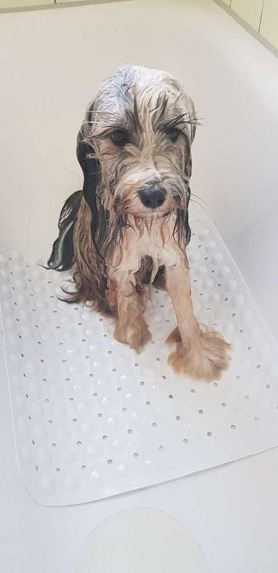 Fotochallenge 128-Beitrag-Bild