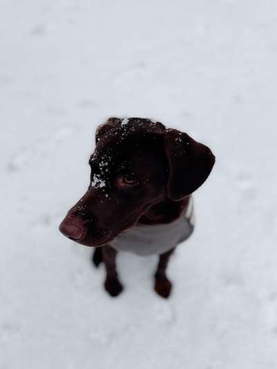 Der erste Schnee, zeigt uns eure tollen Schneemomente-Beitrag-Bild