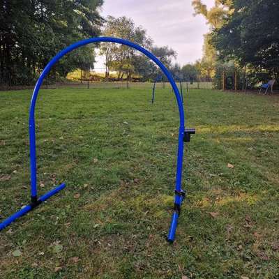 Hundeschulen-Schäferhundeverein OG Schrobenhausen-Bild