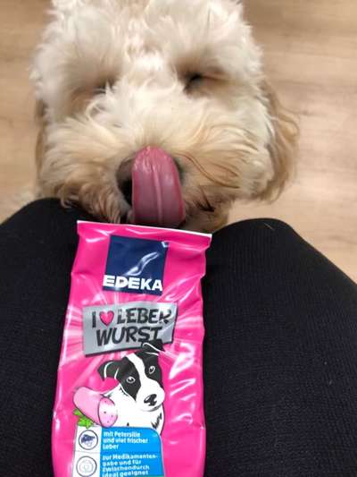 Tongue Out Tuesday-Beitrag-Bild