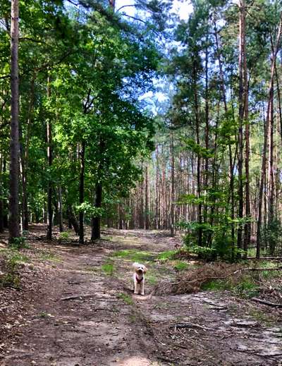 Fotowettbewerb Natur-Beitrag-Bild