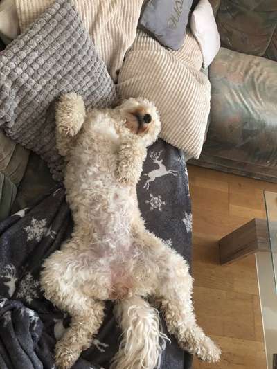 Fotowettbewerbe-Beitrag-Bild