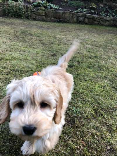 Erstes Bild-Beitrag-Bild