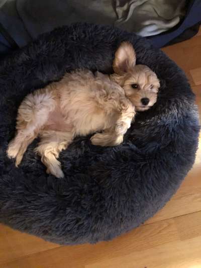 Fotochallenge Nr.65-Beitrag-Bild