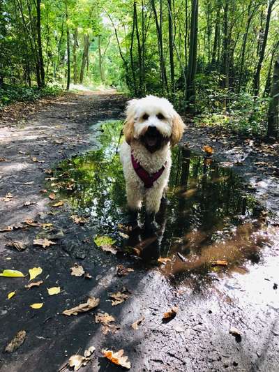 Foto Challenge Nr. 79-Beitrag-Bild