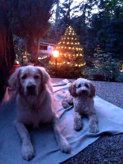 Fotochallenge Nr. 62 Romantische Momente-Beitrag-Bild