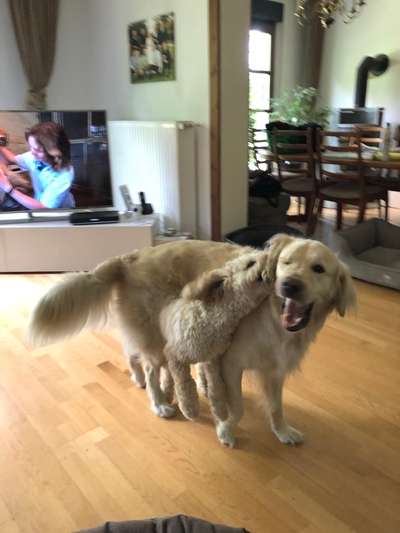 Her mit dem Grimassen-Beitrag-Bild