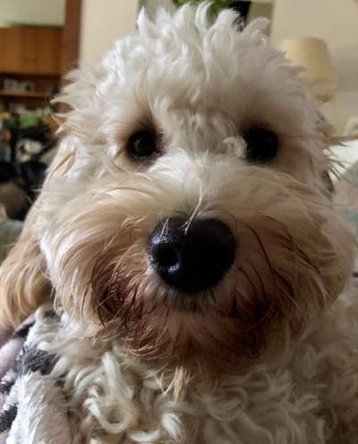 Fotochallange Nr. 57     PORTRÄT.   Beendet!!!!!!!!-Beitrag-Bild