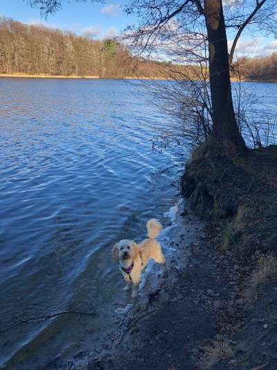 Schwimmen im Winter-Beitrag-Bild