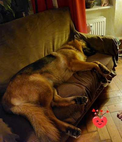 Schlafzeit!💖-Beitrag-Bild