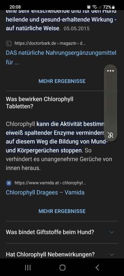 Hund riecht stark-Beitrag-Bild