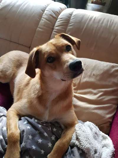 Lieblingsbild-Beitrag-Bild