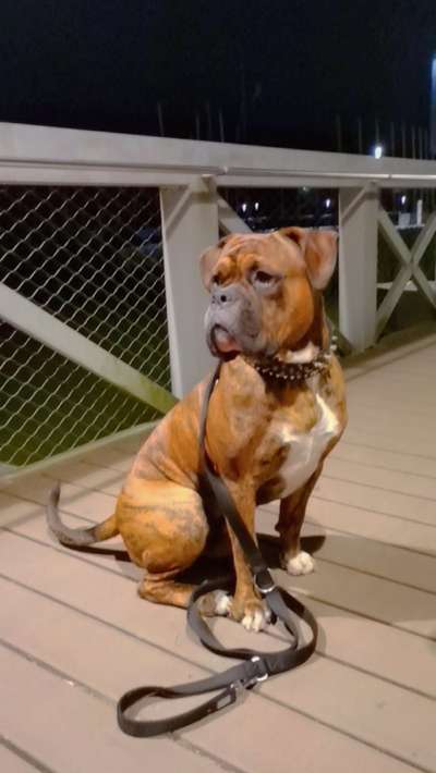 Foto Challenge Thema "Brücke"-Beitrag-Bild