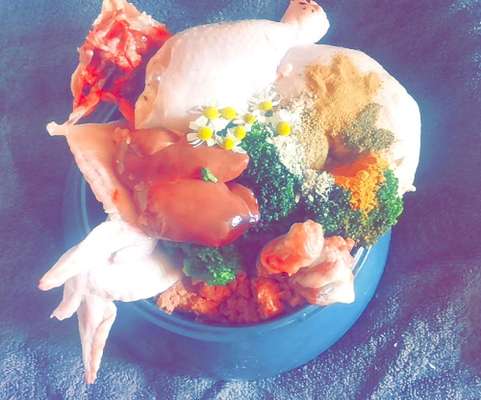 Zeigt her Eure Futternäpfe-Beitrag-Bild