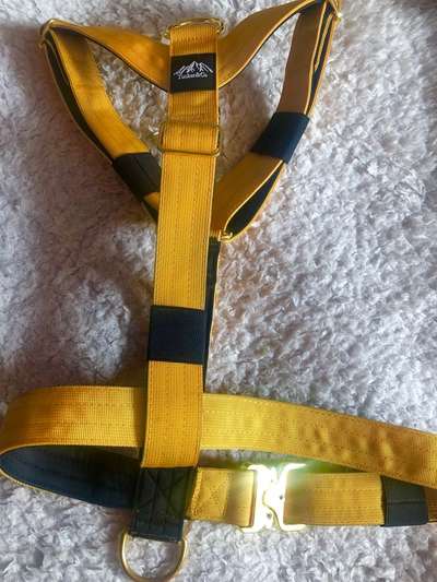 Hunde Geschirre-Beitrag-Bild